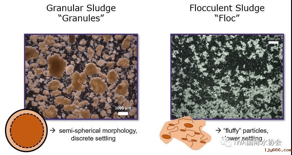 2023-11-01T07:43:44.png 2023-11-01T07:43:44.png