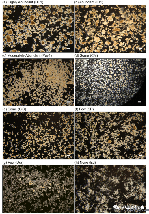 2023-11-01T07:44:28.png 2023-11-01T07:44:28.png