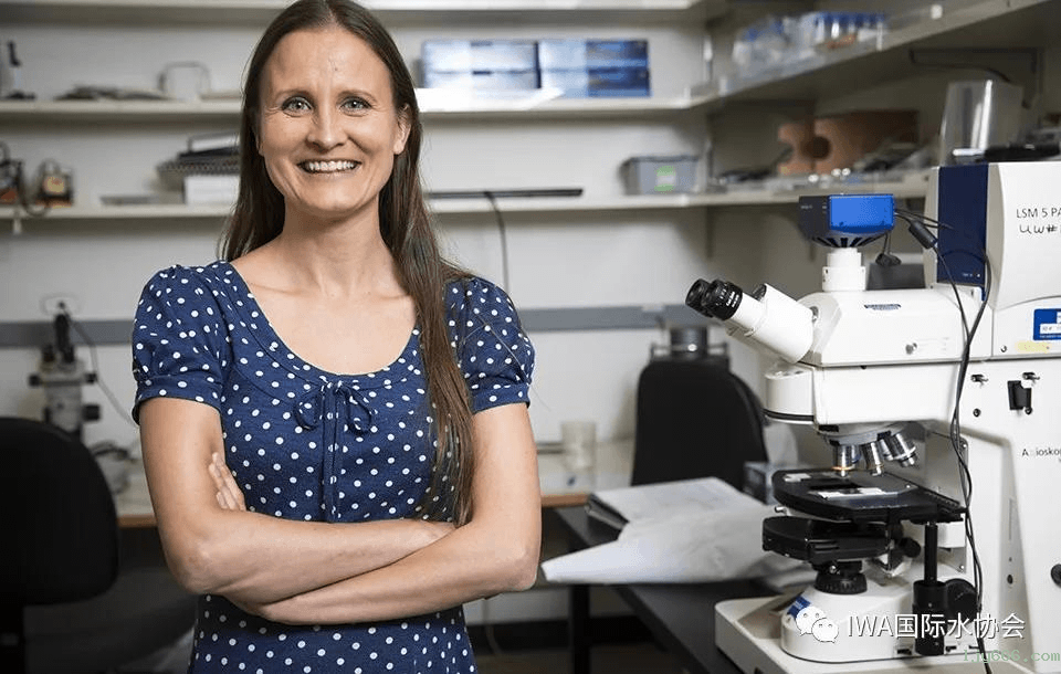 2023-11-01T07:44:47.png 2023-11-01T07:44:47.png