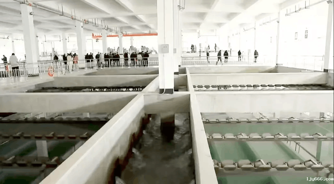 2025-02-27T08:44:28.png 2025-02-27T08:44:28.png